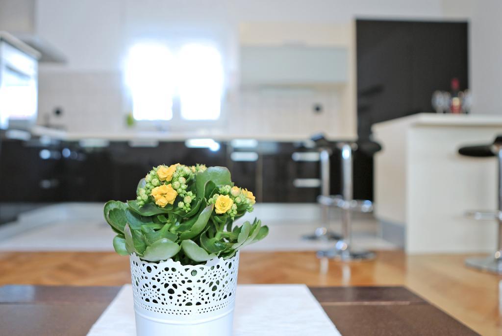Apartamento Gallery Zadar